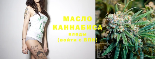гидра Бородино