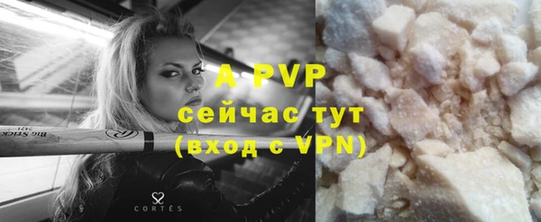 гидра Бородино