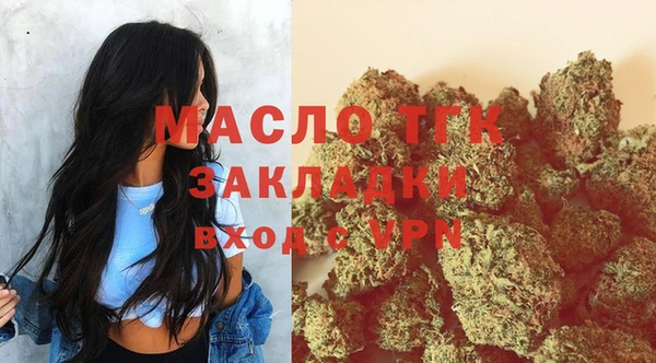 гидра Бородино
