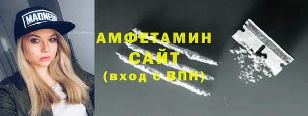 гидра Бородино