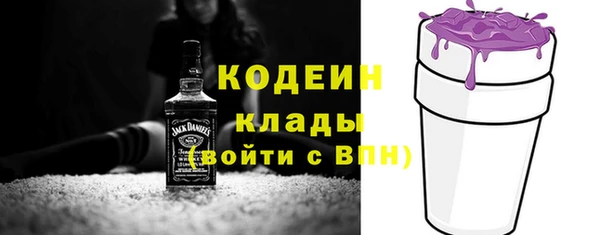гидра Бородино