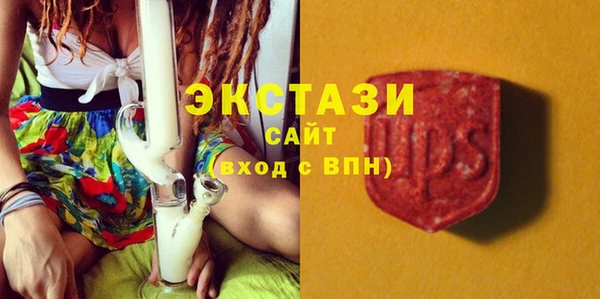 гидра Бородино