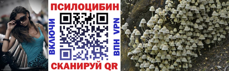 Псилоцибиновые грибы мицелий  Купить закладки  Галич 
